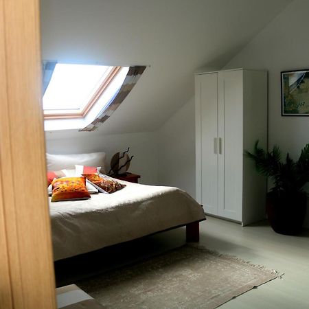 Madeira Native Motion Apartment 폰타 두 파르구 외부 사진